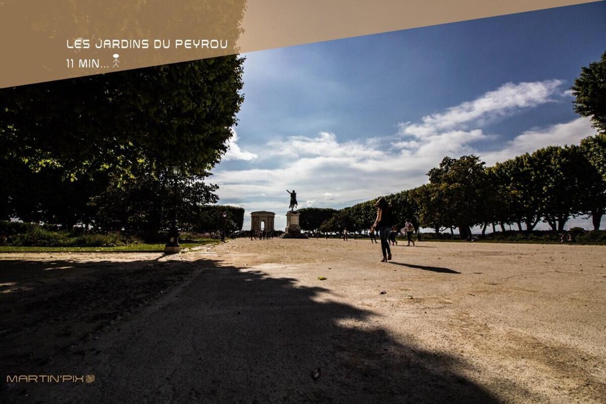 L'Amoureux - Terrasse Et Climatisation Coeur De Ville 蒙彼利埃 外观 照片